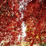Collina E Luce - Relax, Terrazzi E Vista A Pochi Minuti Dal Centro Di Torino