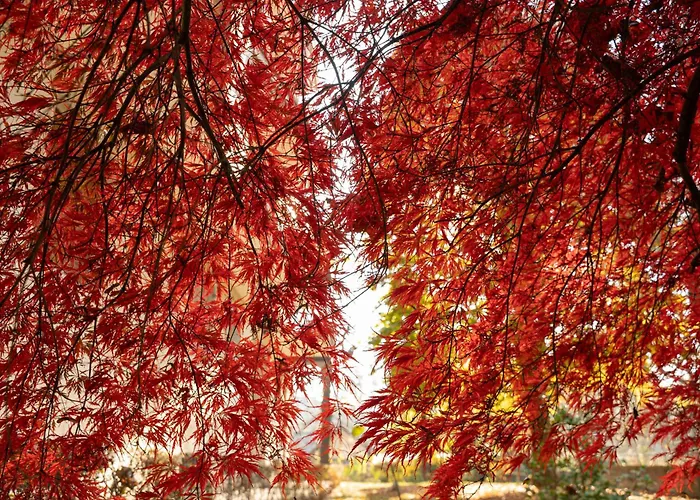Collina E Luce - Relax, Terrazzi E Vista A Pochi Minuti Dal Centro Di Turin
